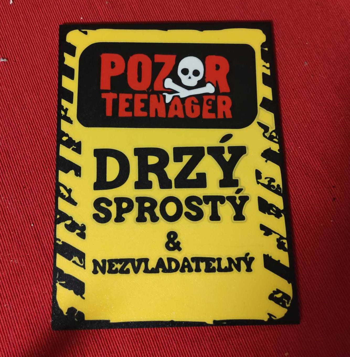Cedule - Pozor teenager