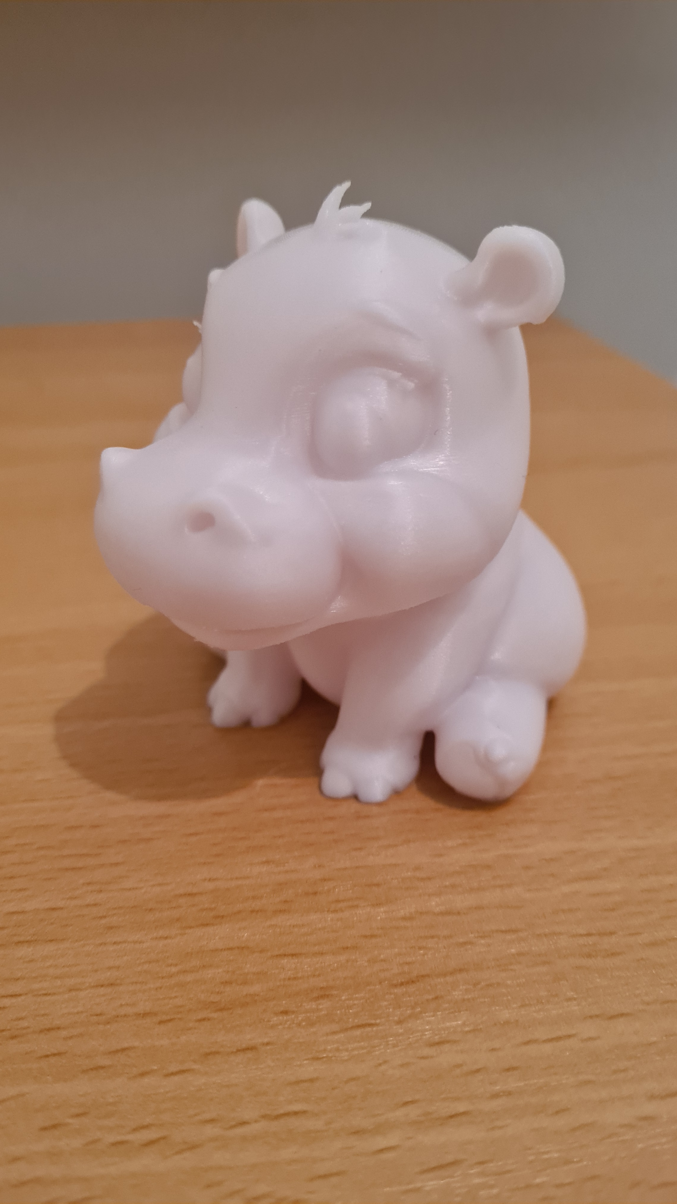 Baby hippo / hroch