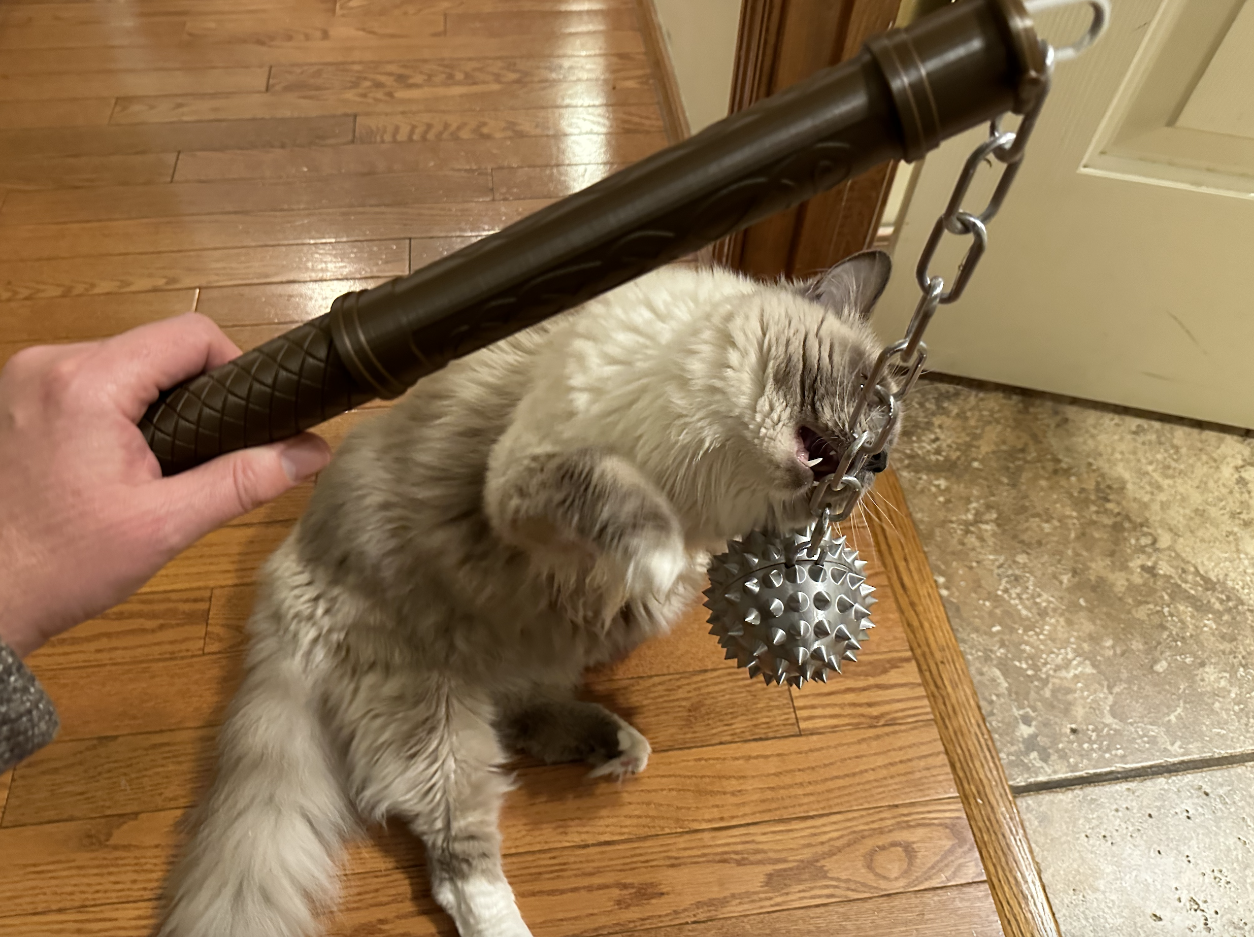 Ball and Chain Medieval Weapon Prop (No Glue Required)