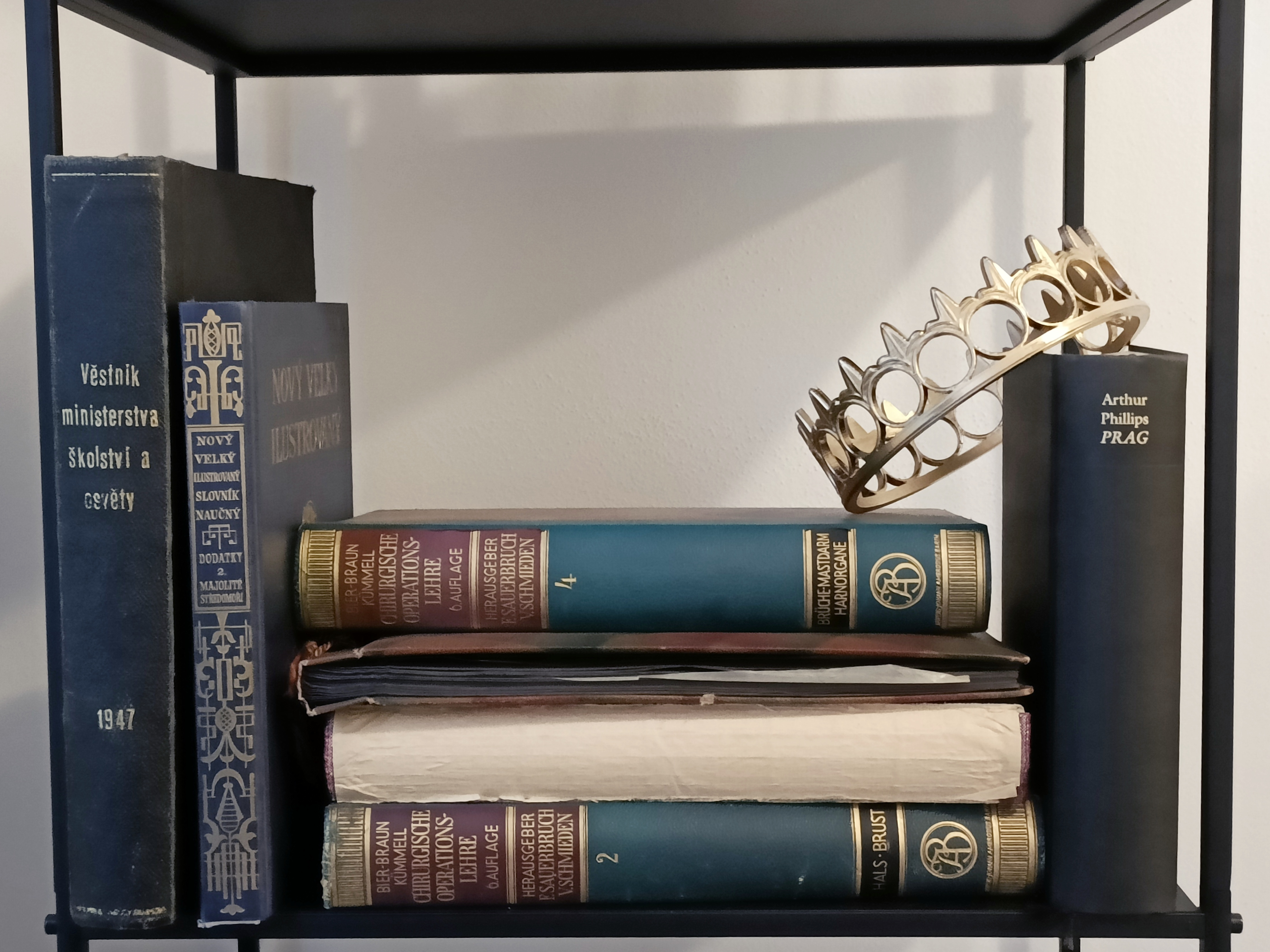 Prop Crown - The Cruel Prince (detailed) - Holly Black