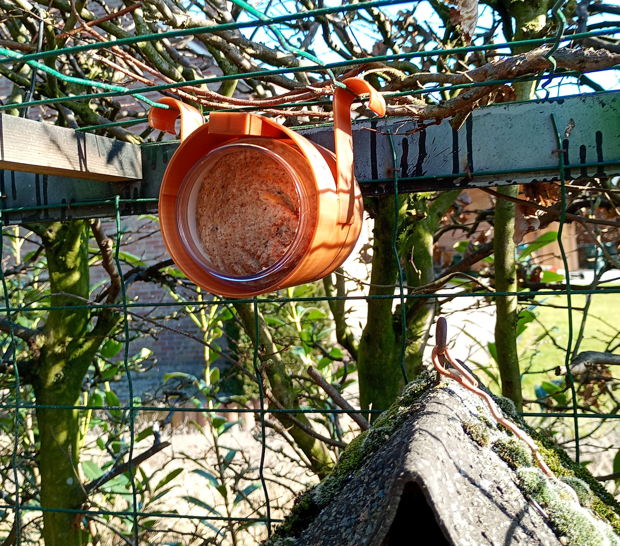 Pindakaashouder vogels voederen. Peanut butter holder to feed birds. Porta mantequilla de maní para alimentar a los pájaros. Support à beurre de cacahuète pour nourrir les oiseaux.