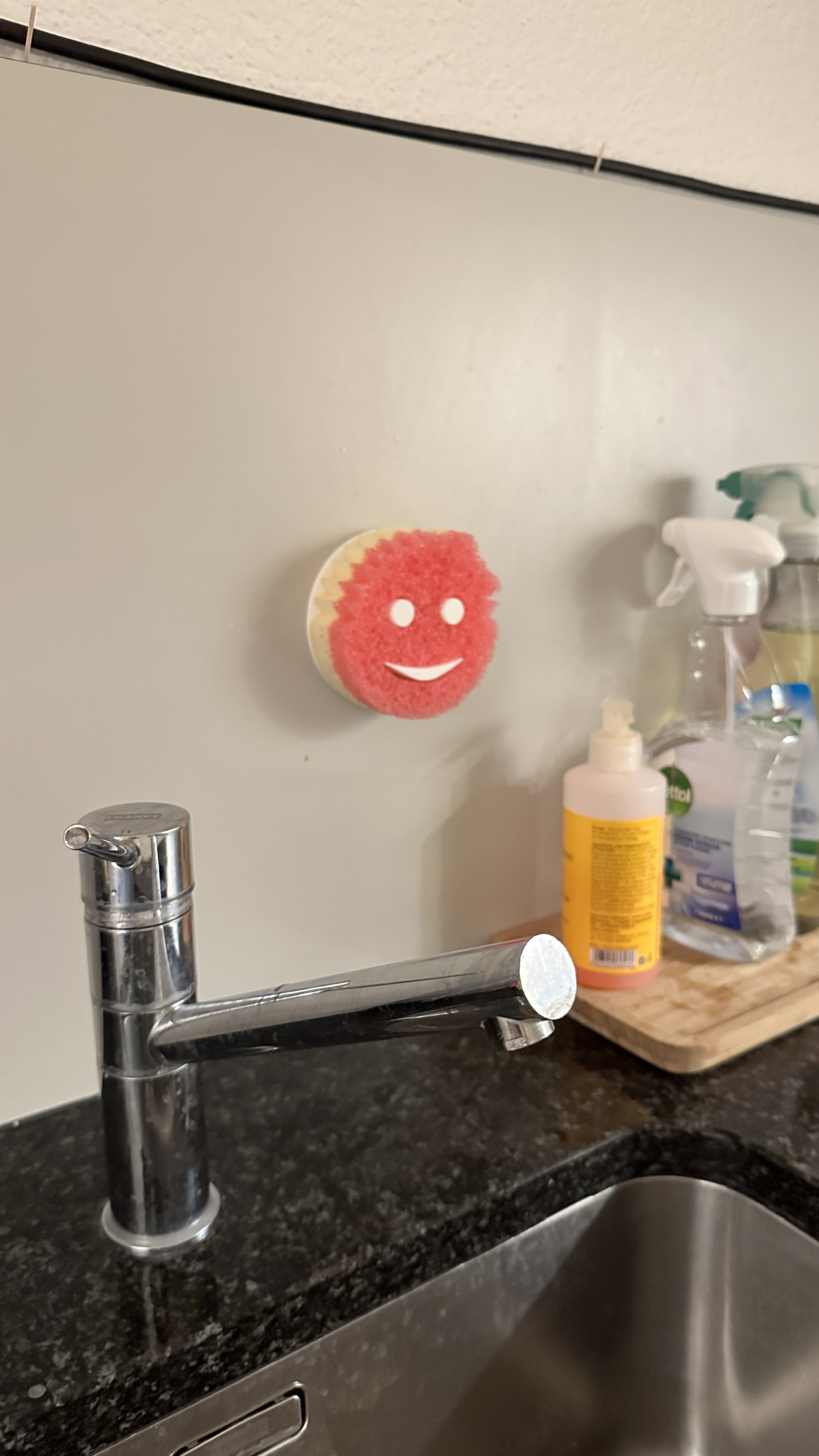 Scrub Daddy / Mommy Holder