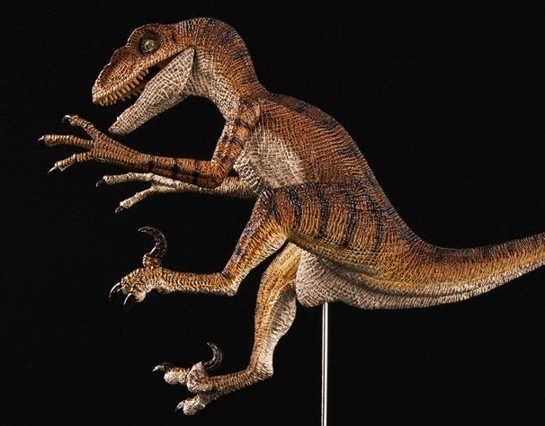 Velociraptor