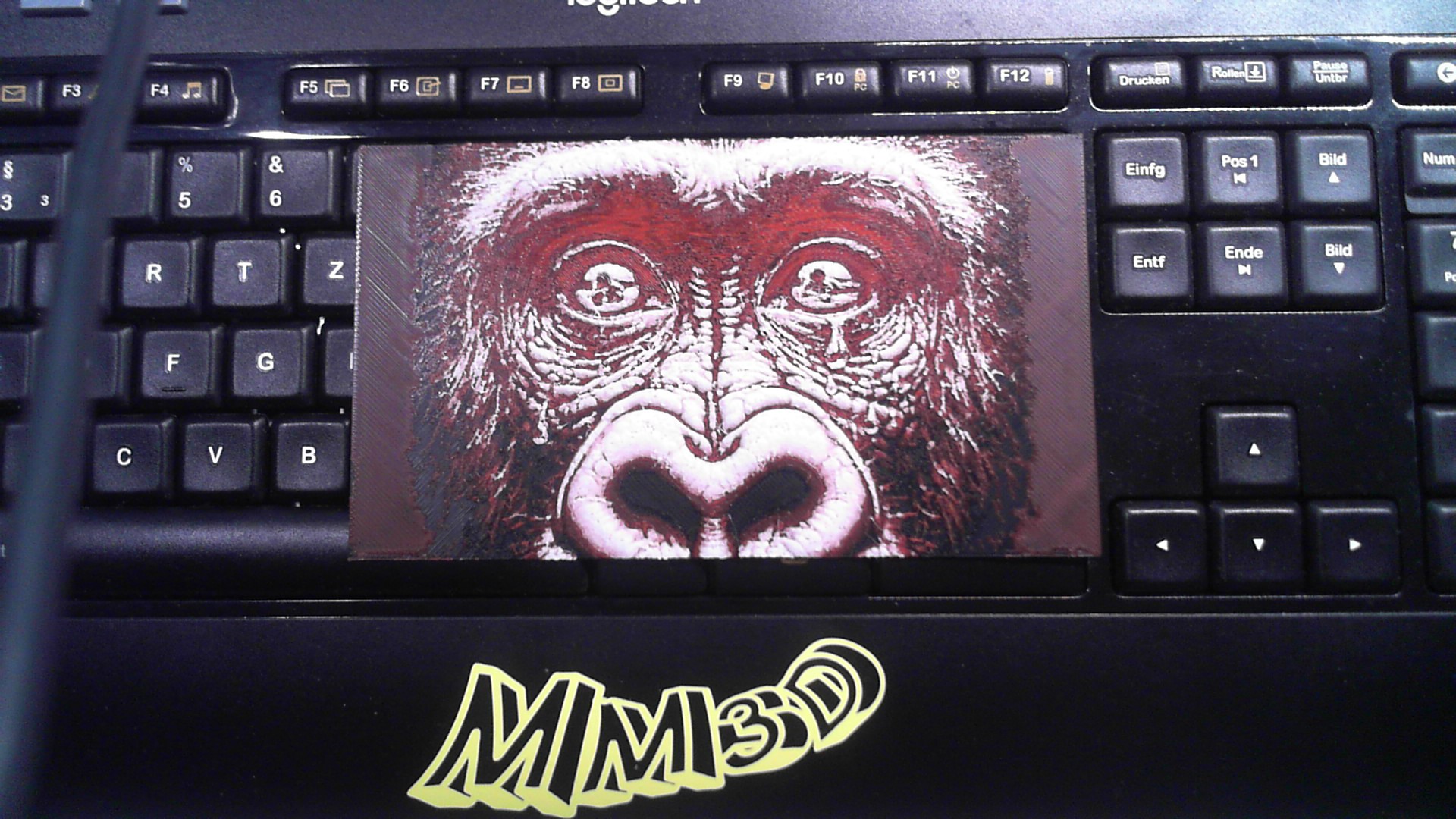 Hueforge Chimpanzee Photo