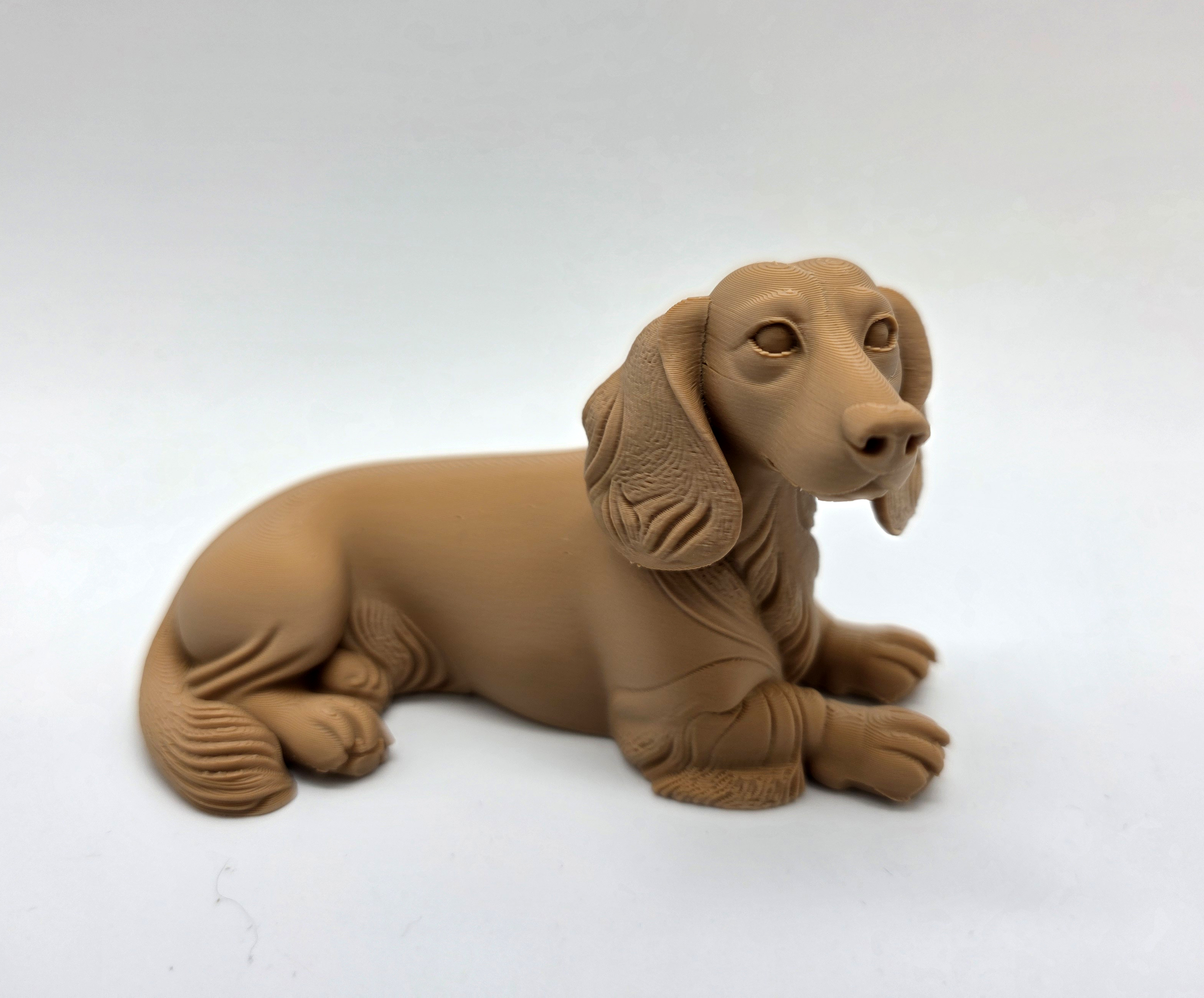Laying Dachshund (long haired)