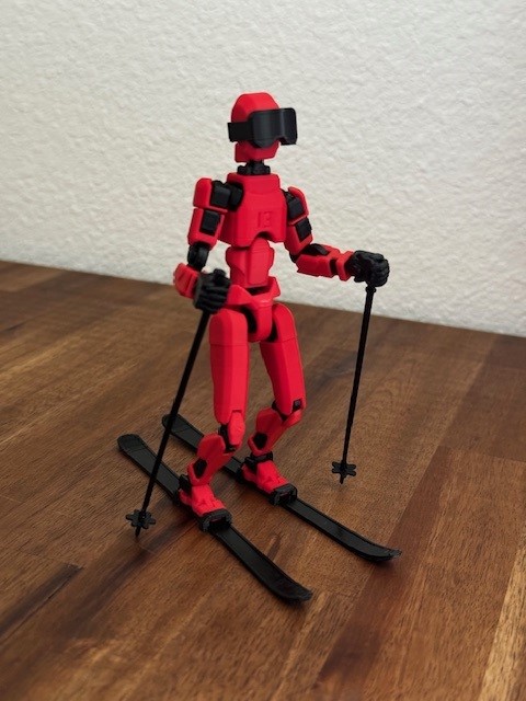 Skis, poles + goggles for Dummy 13