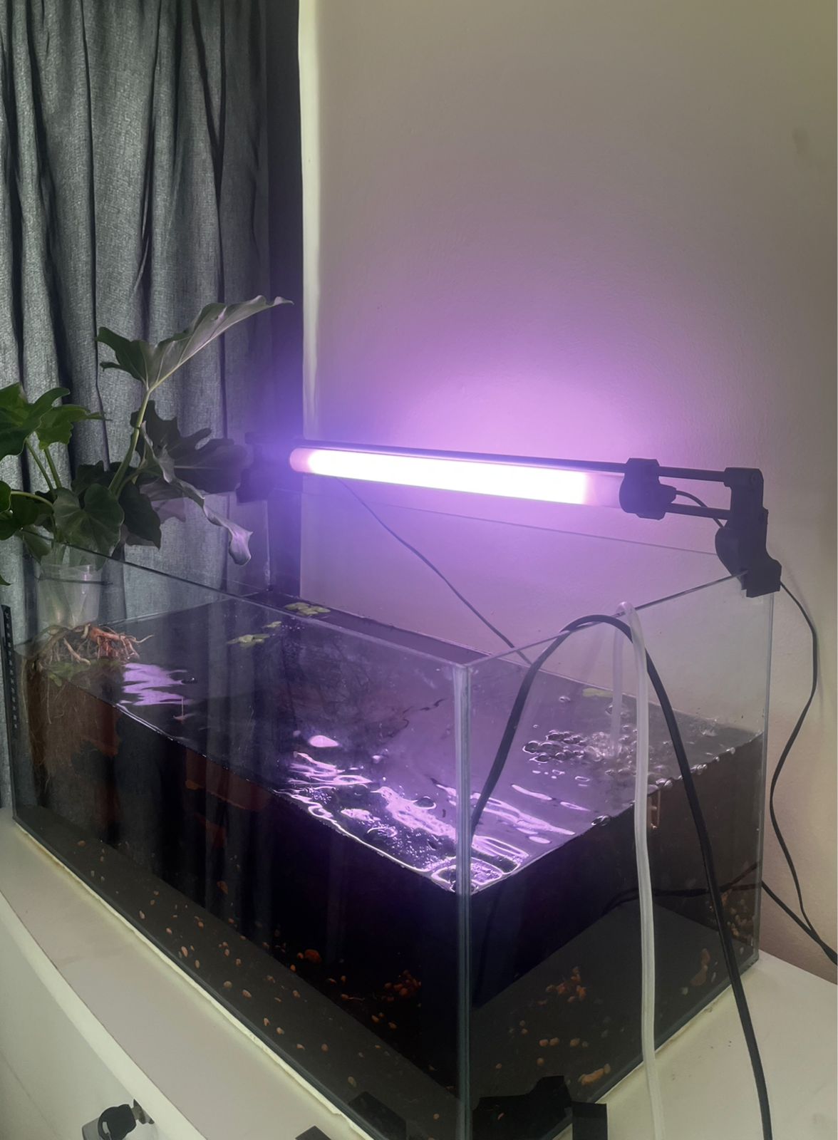 T8 Fluorescent Bulb Canopy (aqaurium)