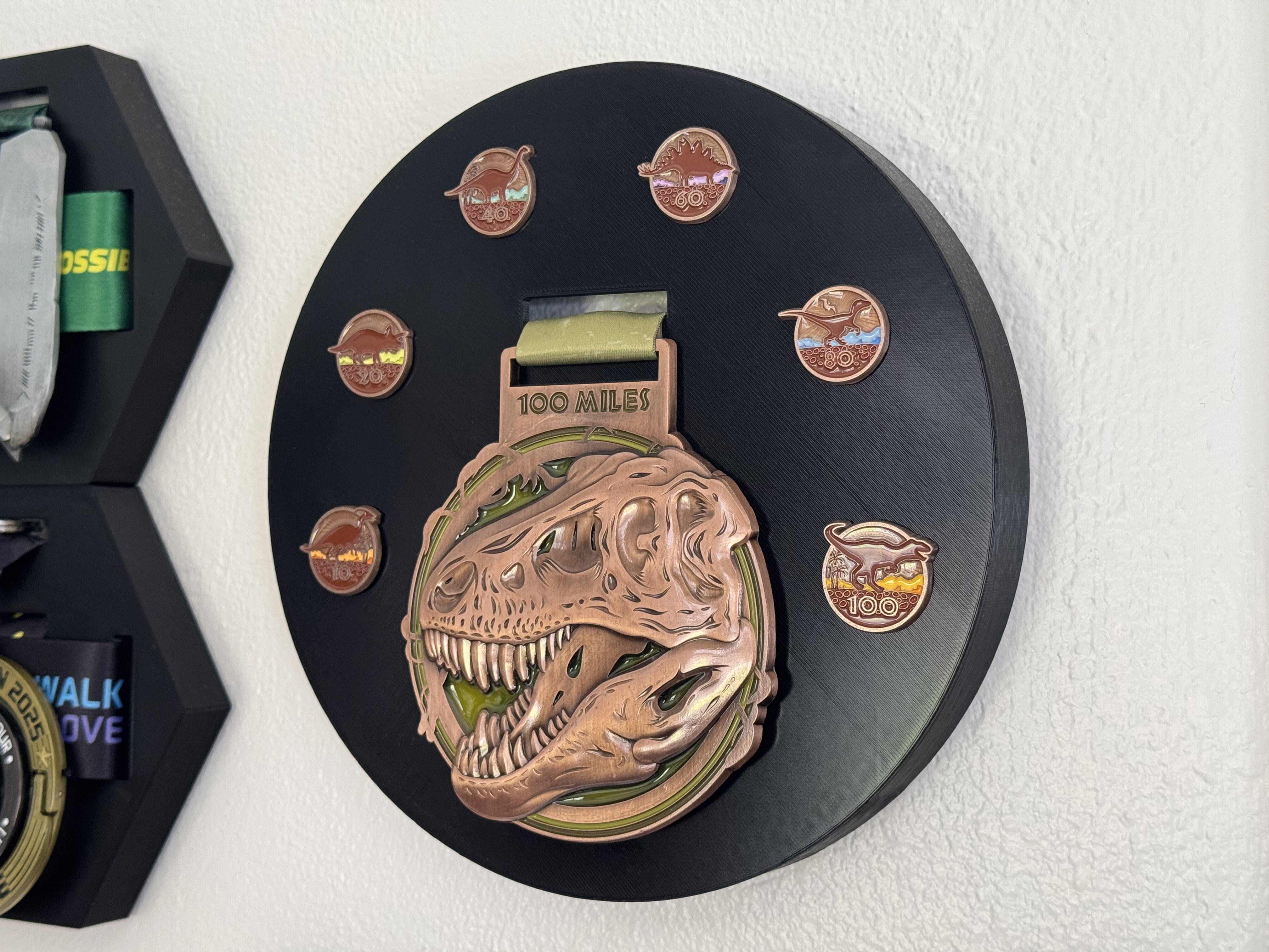 VRC Dino-Might Challenge Medal and Pins Display Plaque