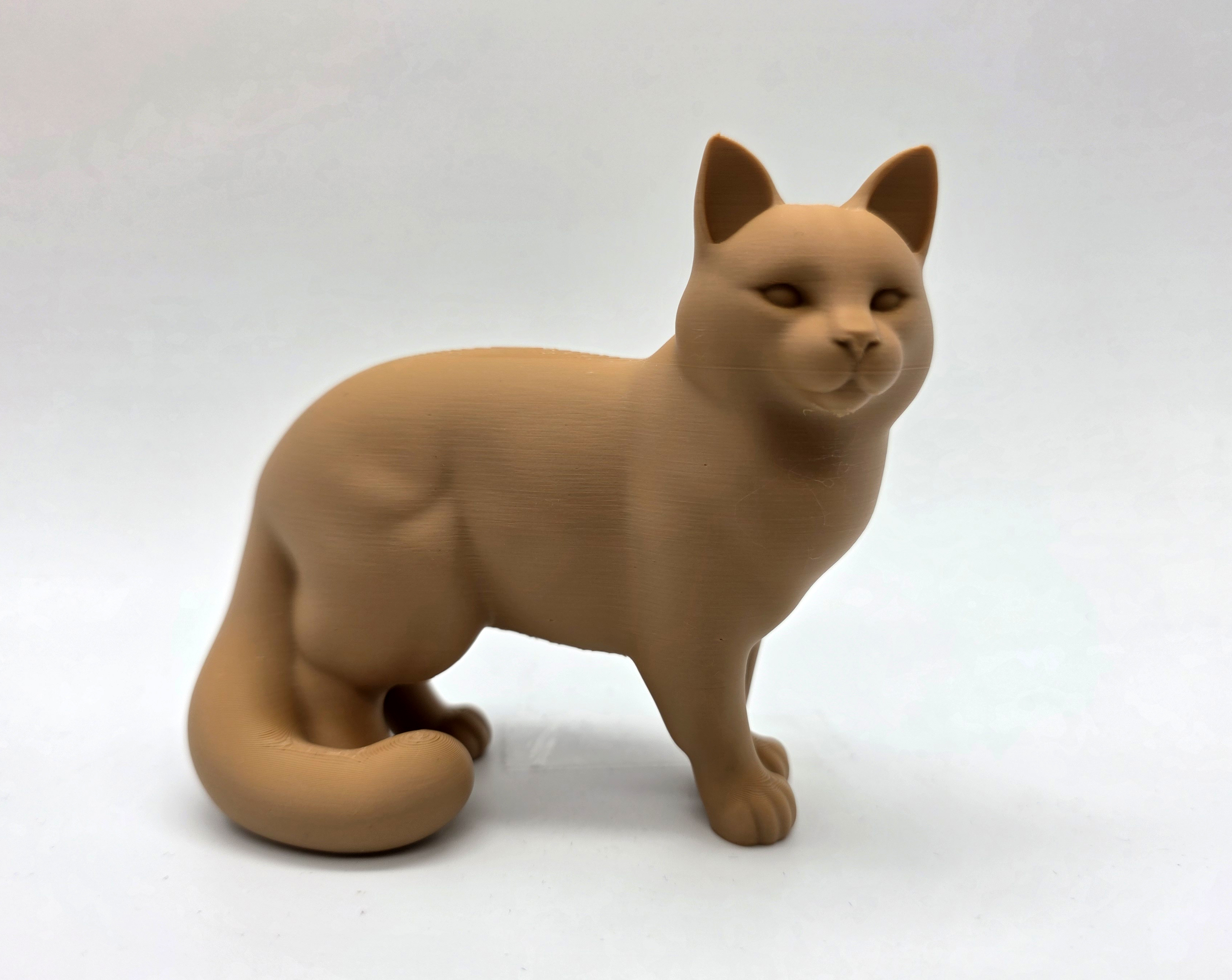 Standing Cat - Fluffy Tail