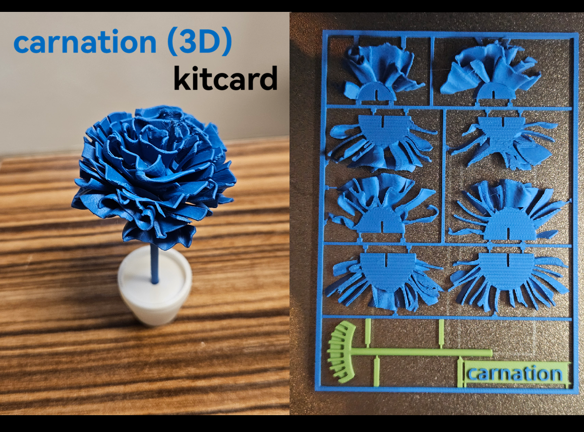 3D Flower kitcard - carnation / Nelke