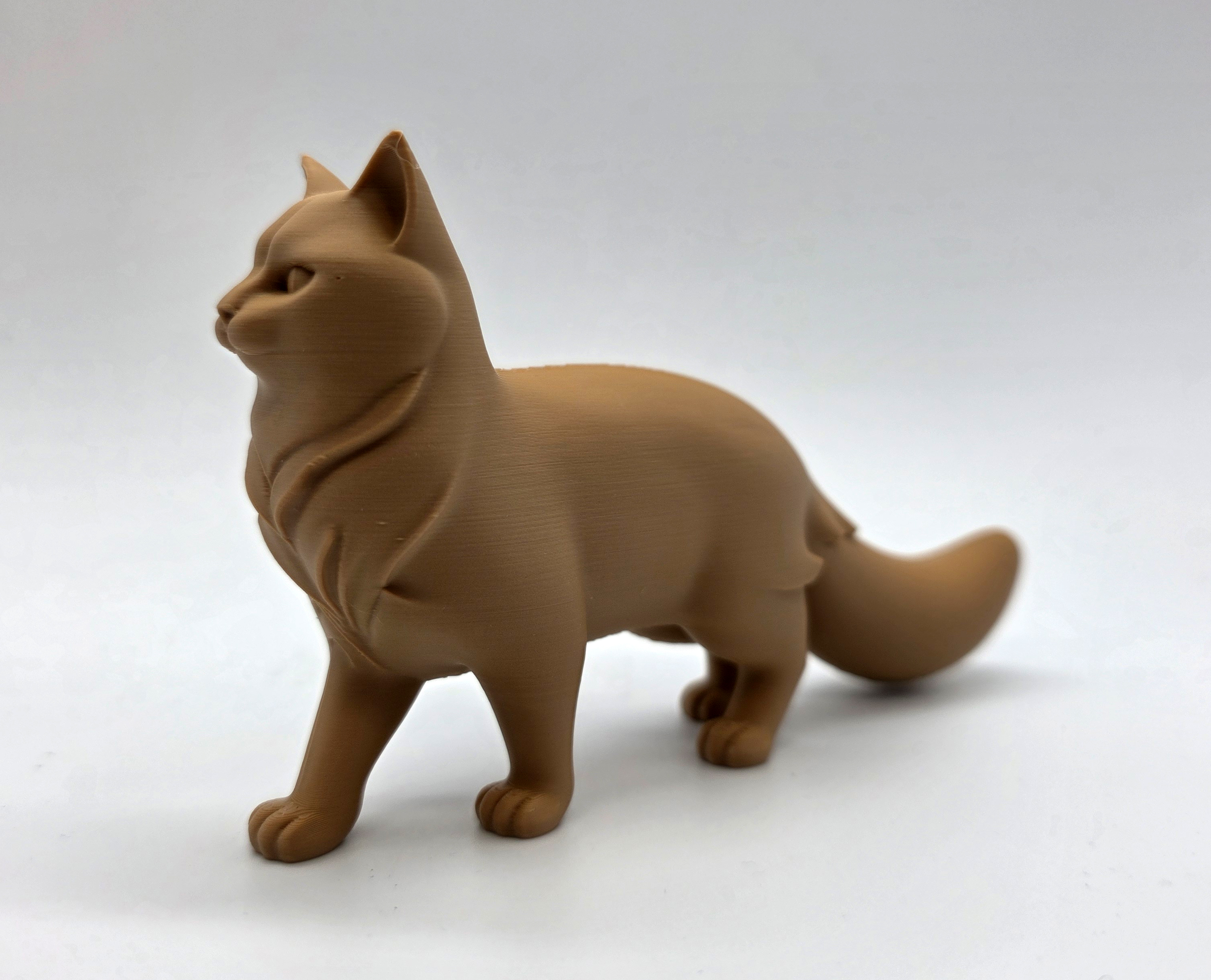 Walking Cat Fluffy Tail