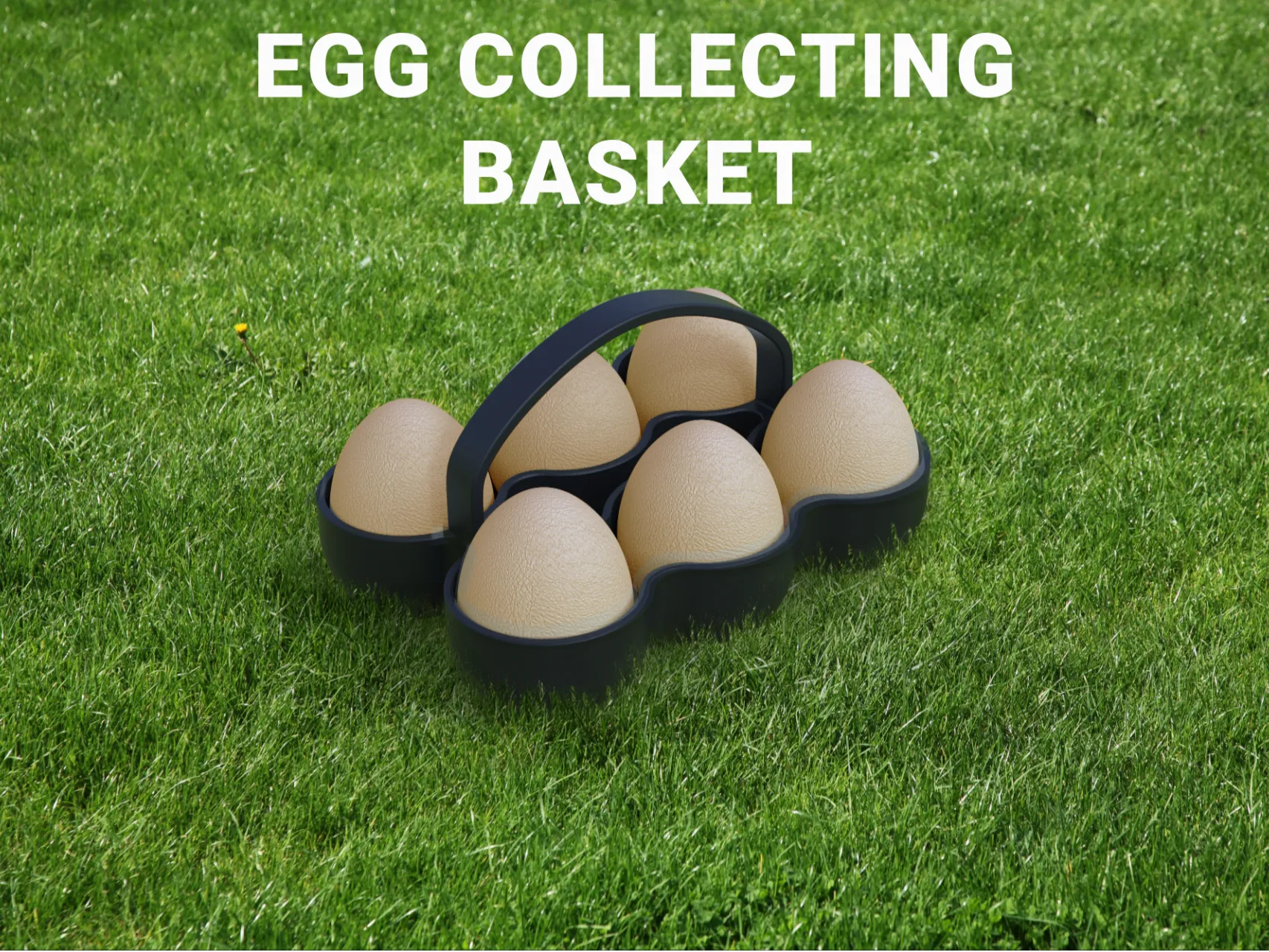 Egg Collecting Basket – Garden Use
