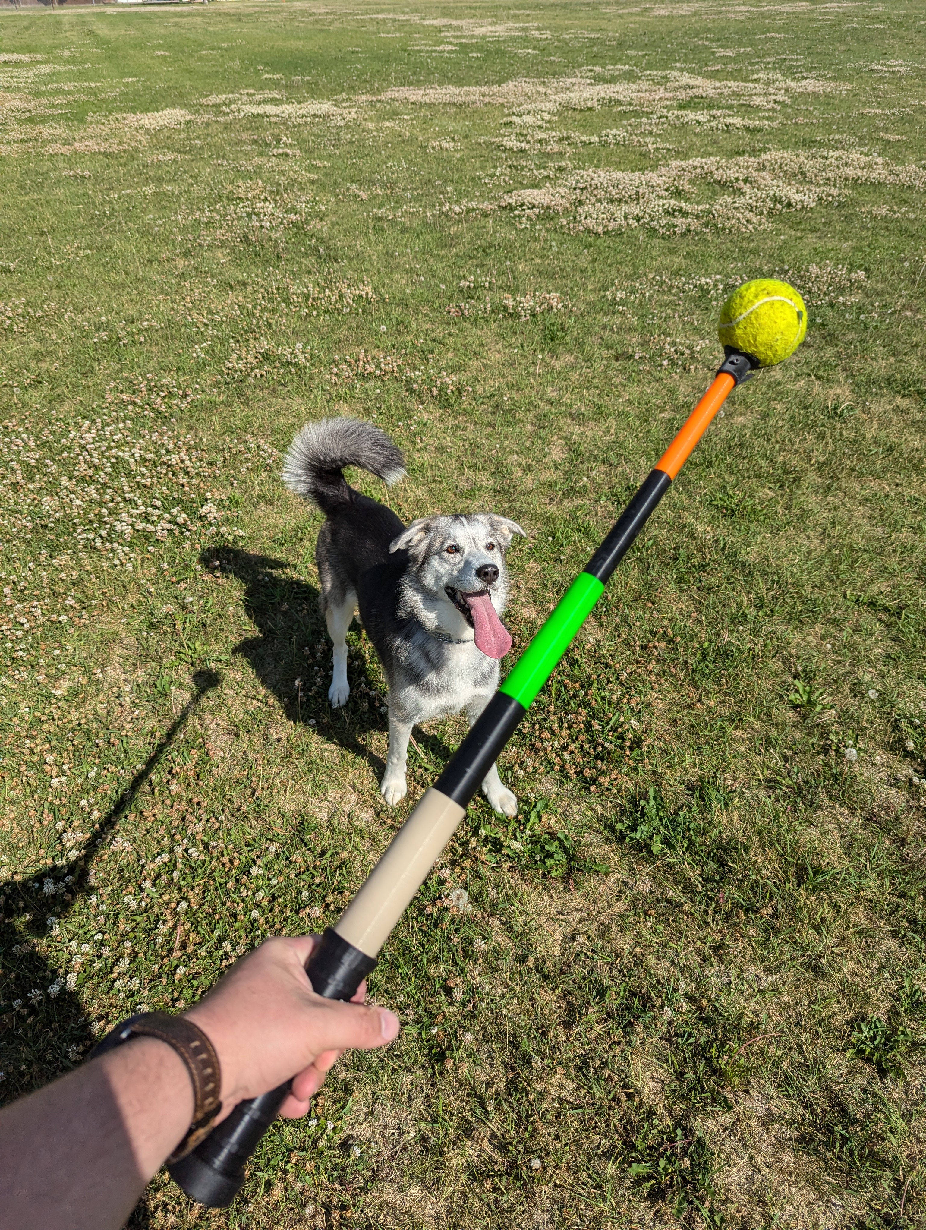 Collapsable Tennis Ball Thrower - Now With Magnets!