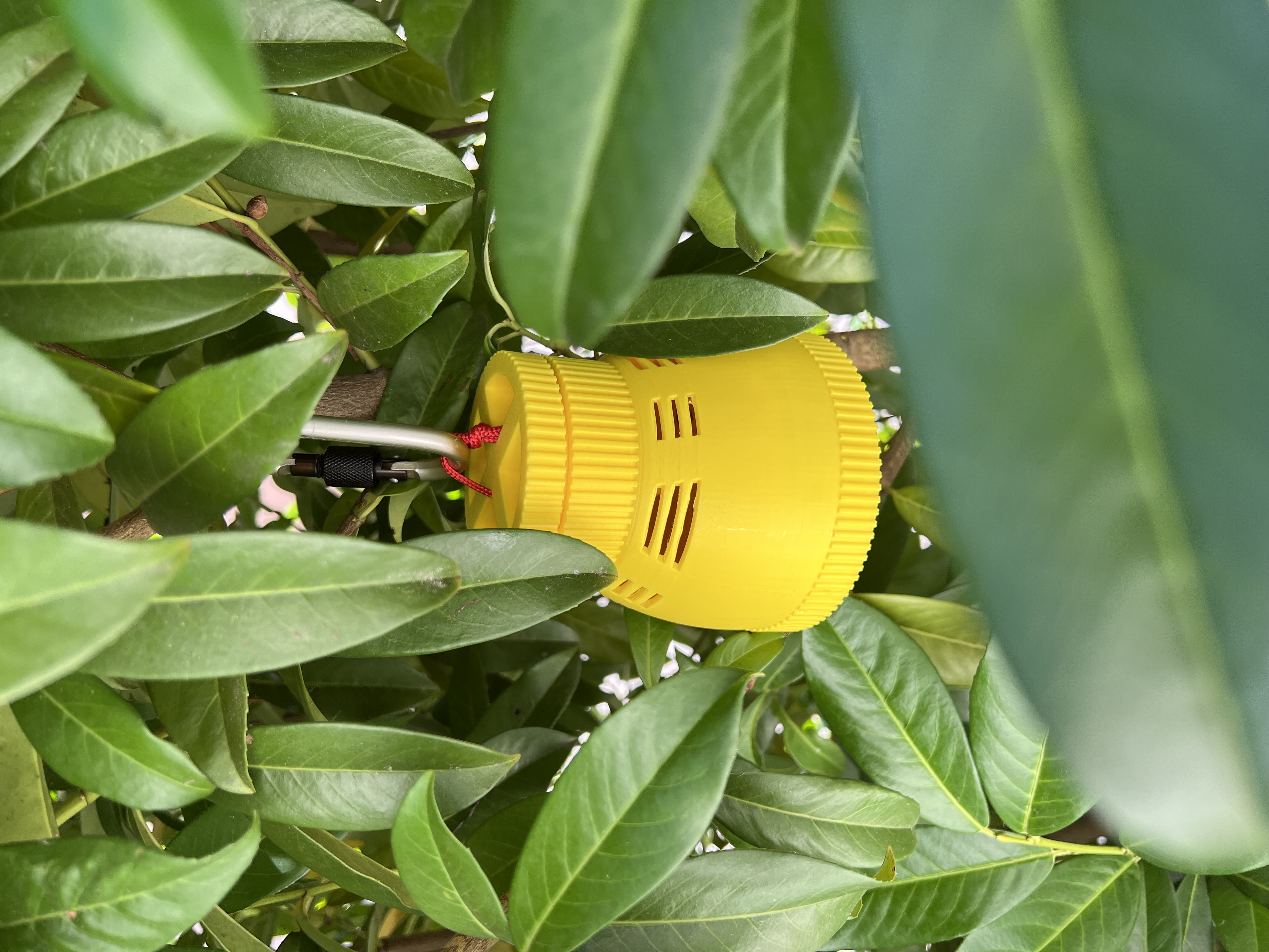 StingStopp 4001 - improved Wasp trap (also as live trap version)