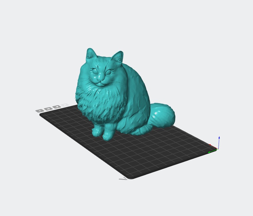 Gato bonito Gato bonito