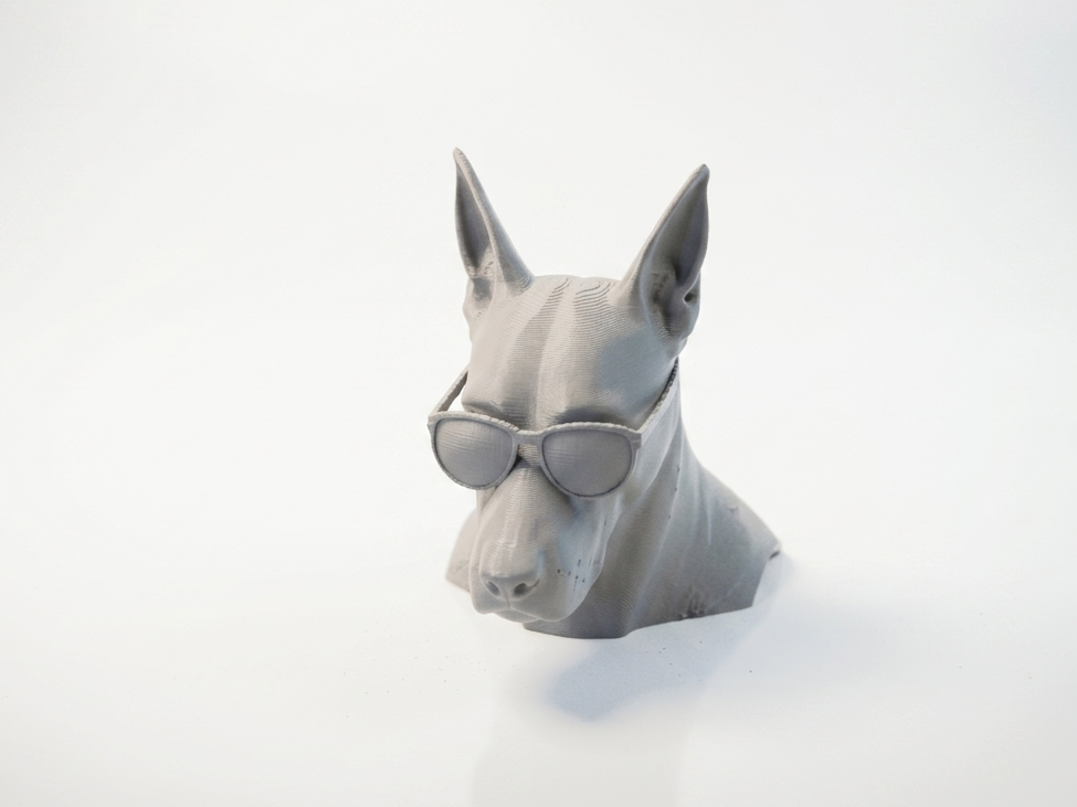 Dawg Dog Bust with Sunglasses 3D Printable