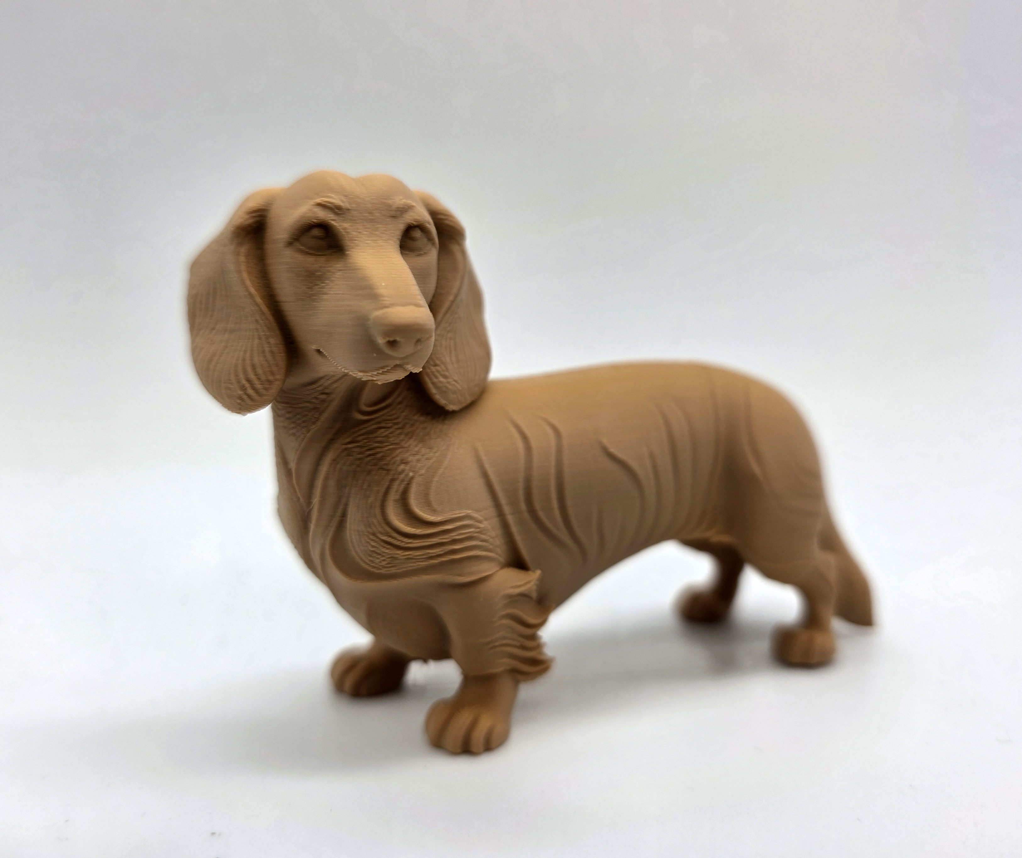 Standing Dachshund (long haired)