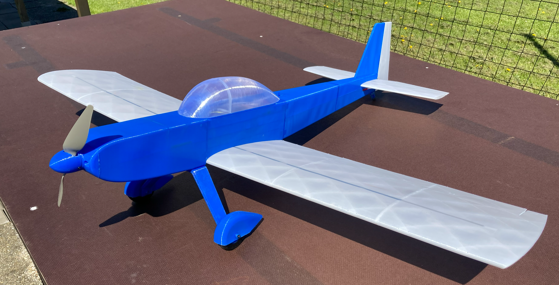 Charliet RC Plane for Sports & Aerobatic Flying - 3D Printed