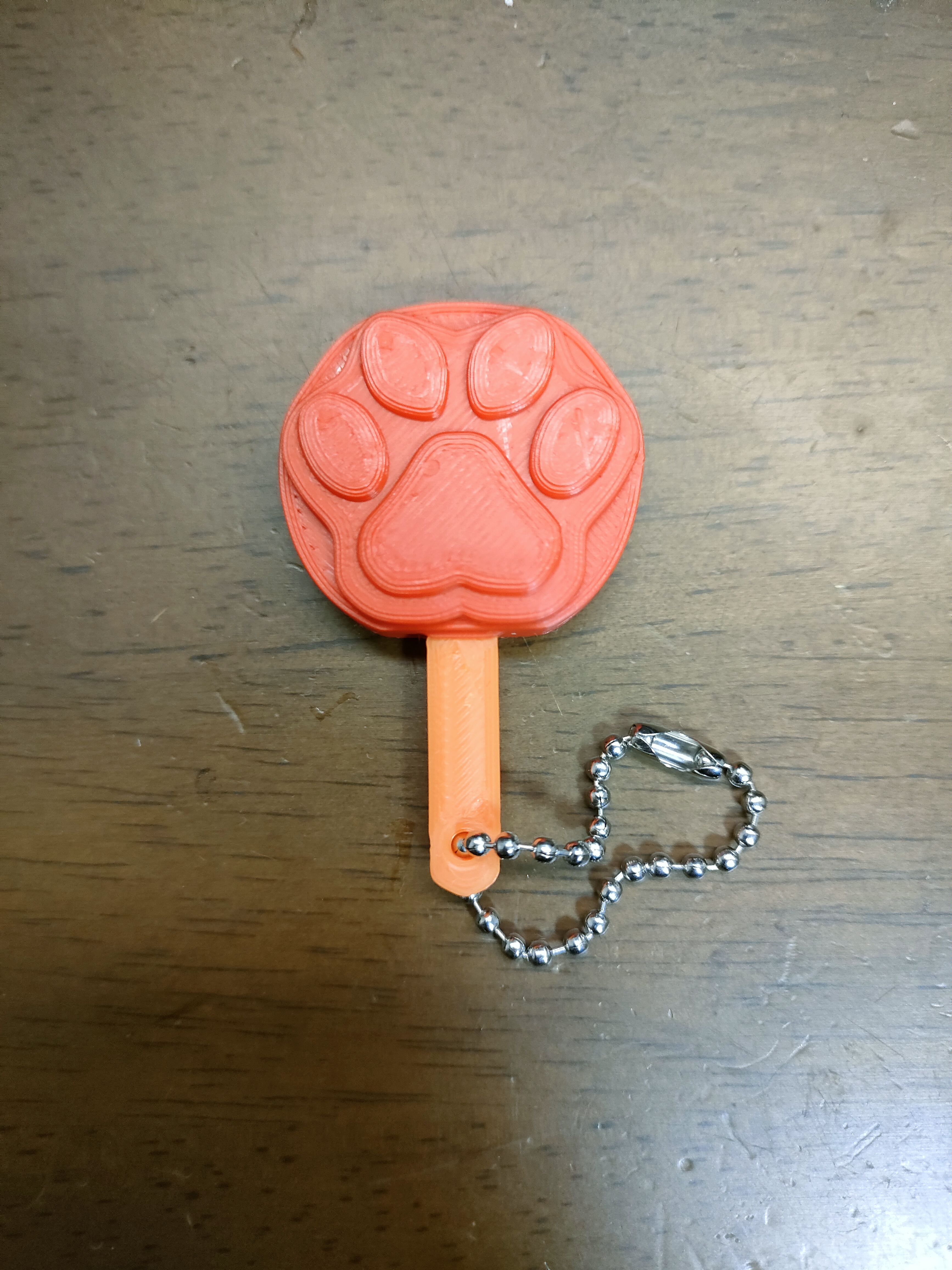 Zootopia Popsiclesーズートピアのアイスキャンディー