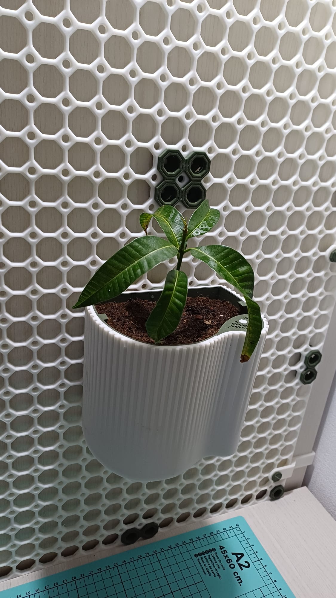 Selfwatering plant pot for Multiboard organization system and stand alone