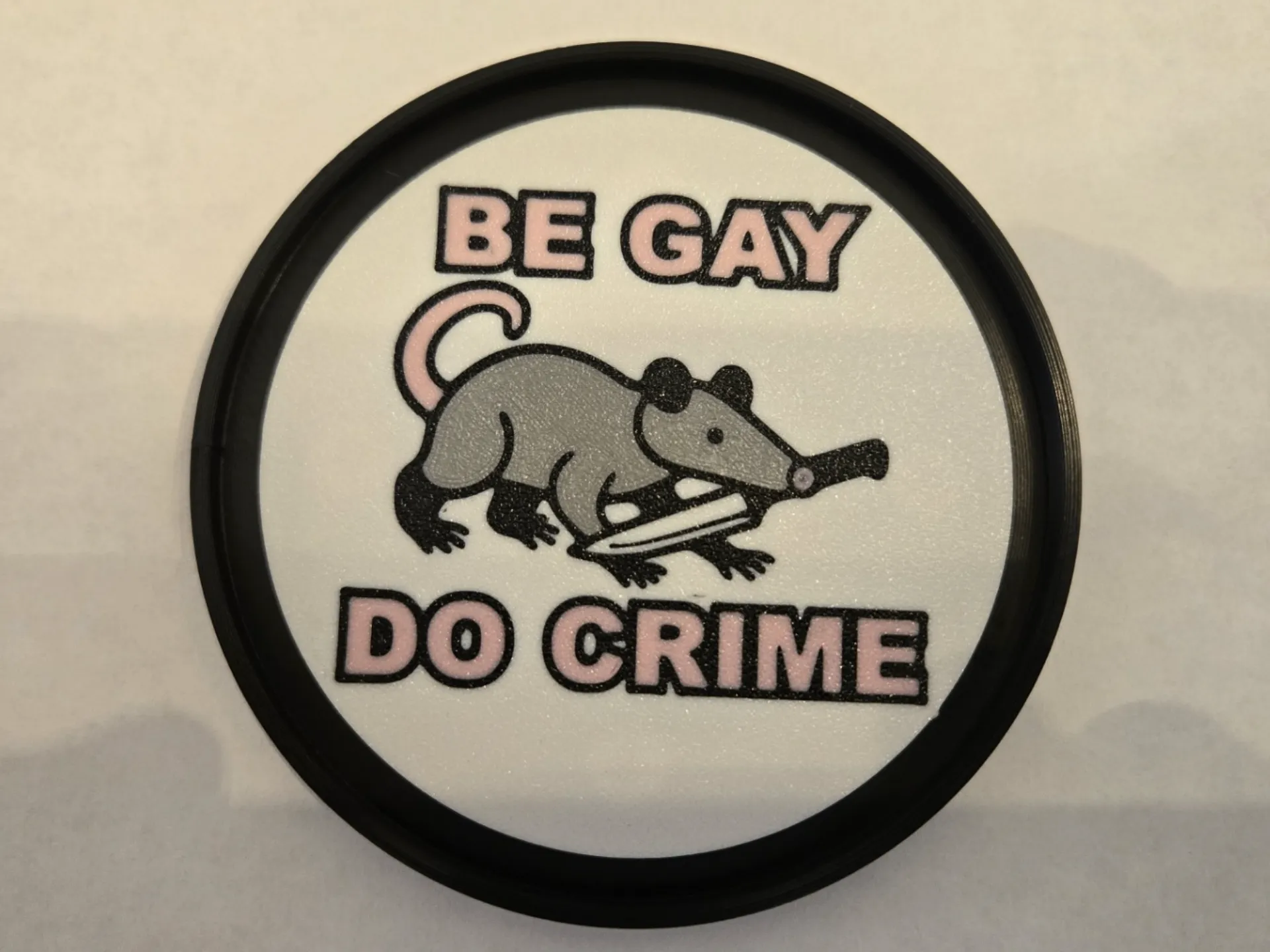 Be Gay, Do Crime Coaster