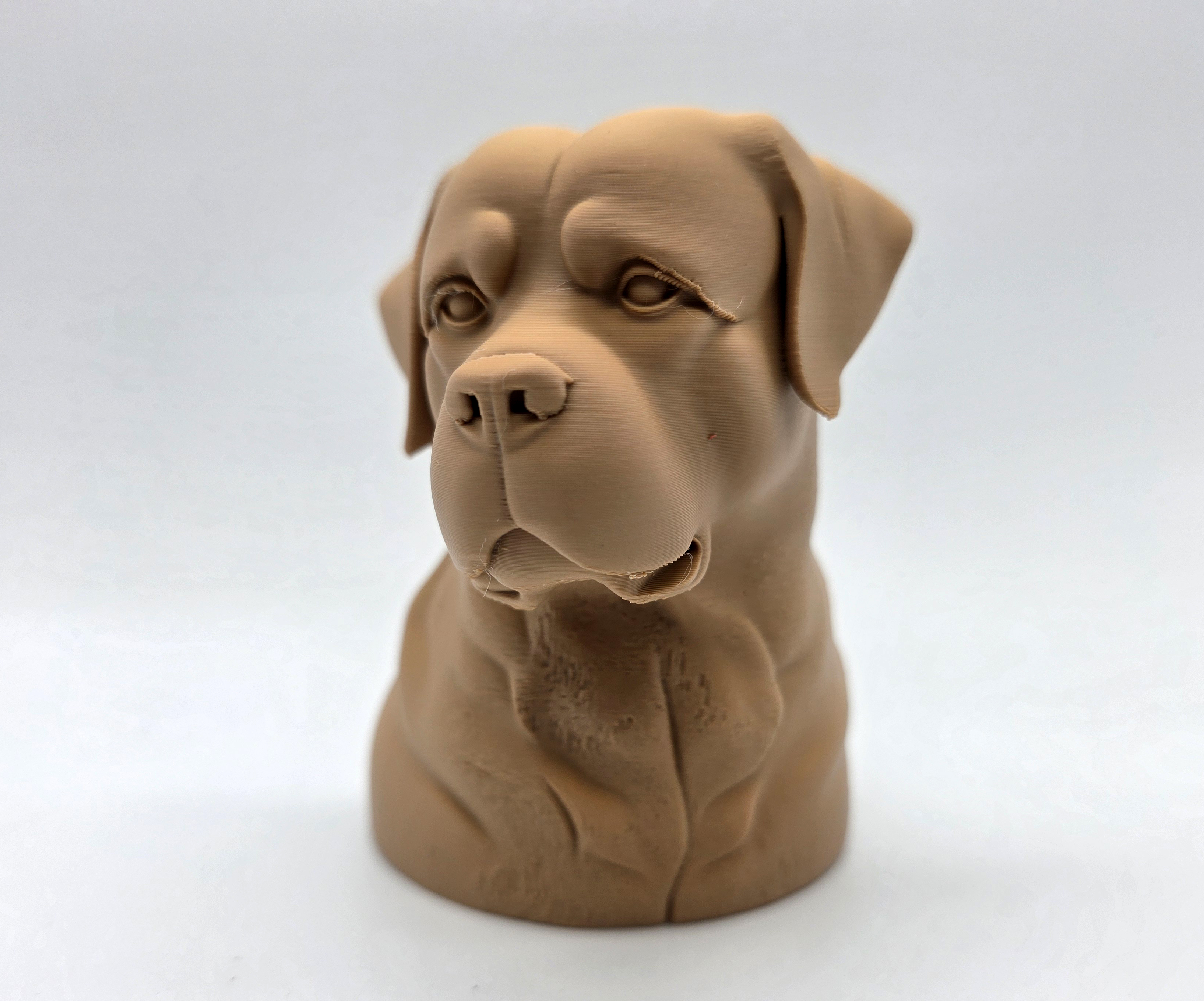 Rottweiler Bust Pensive