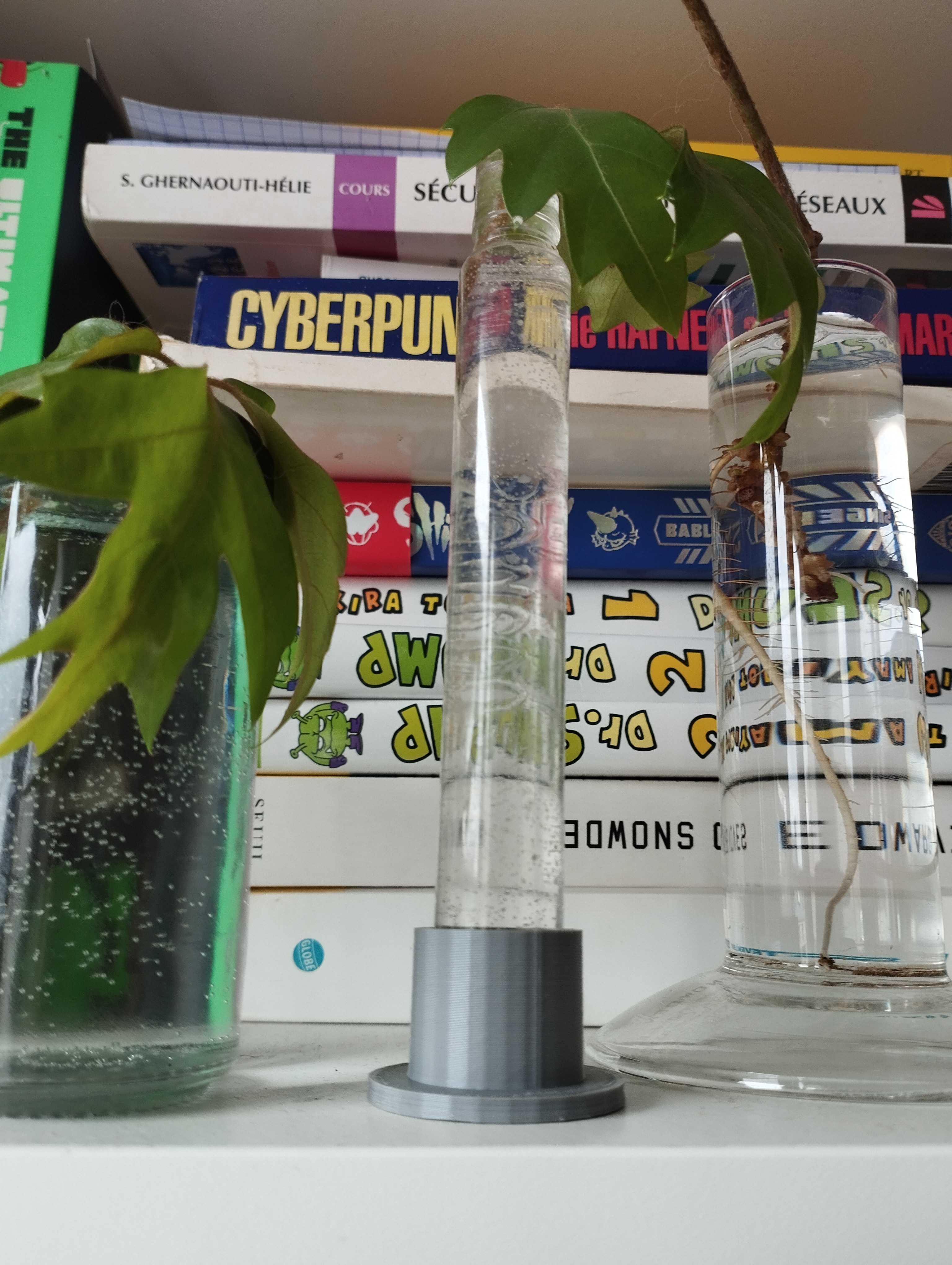 Plant water propagation - Support for essay tube / salad tube (french sodebo like)