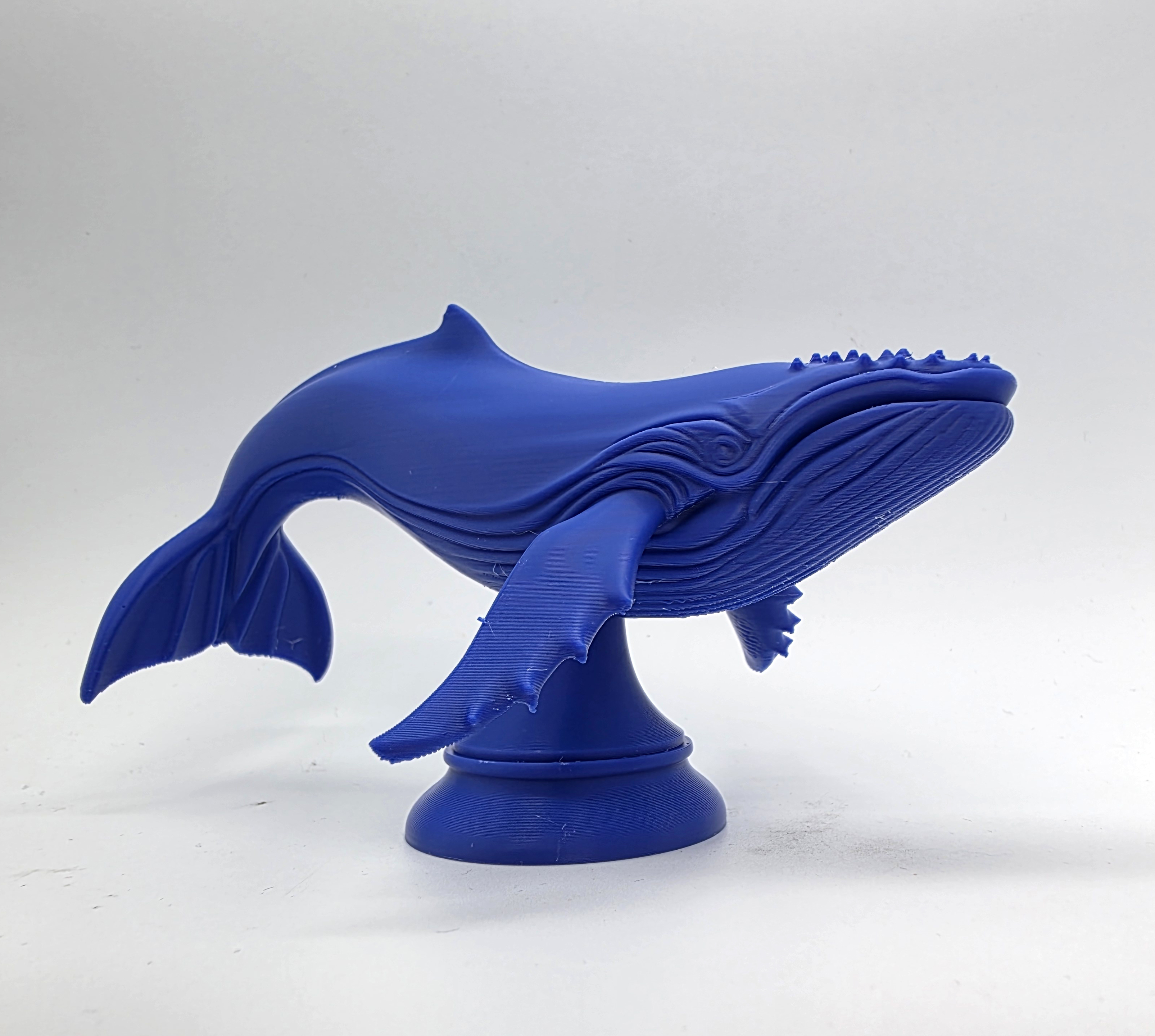 Humpback Whale Sculpture