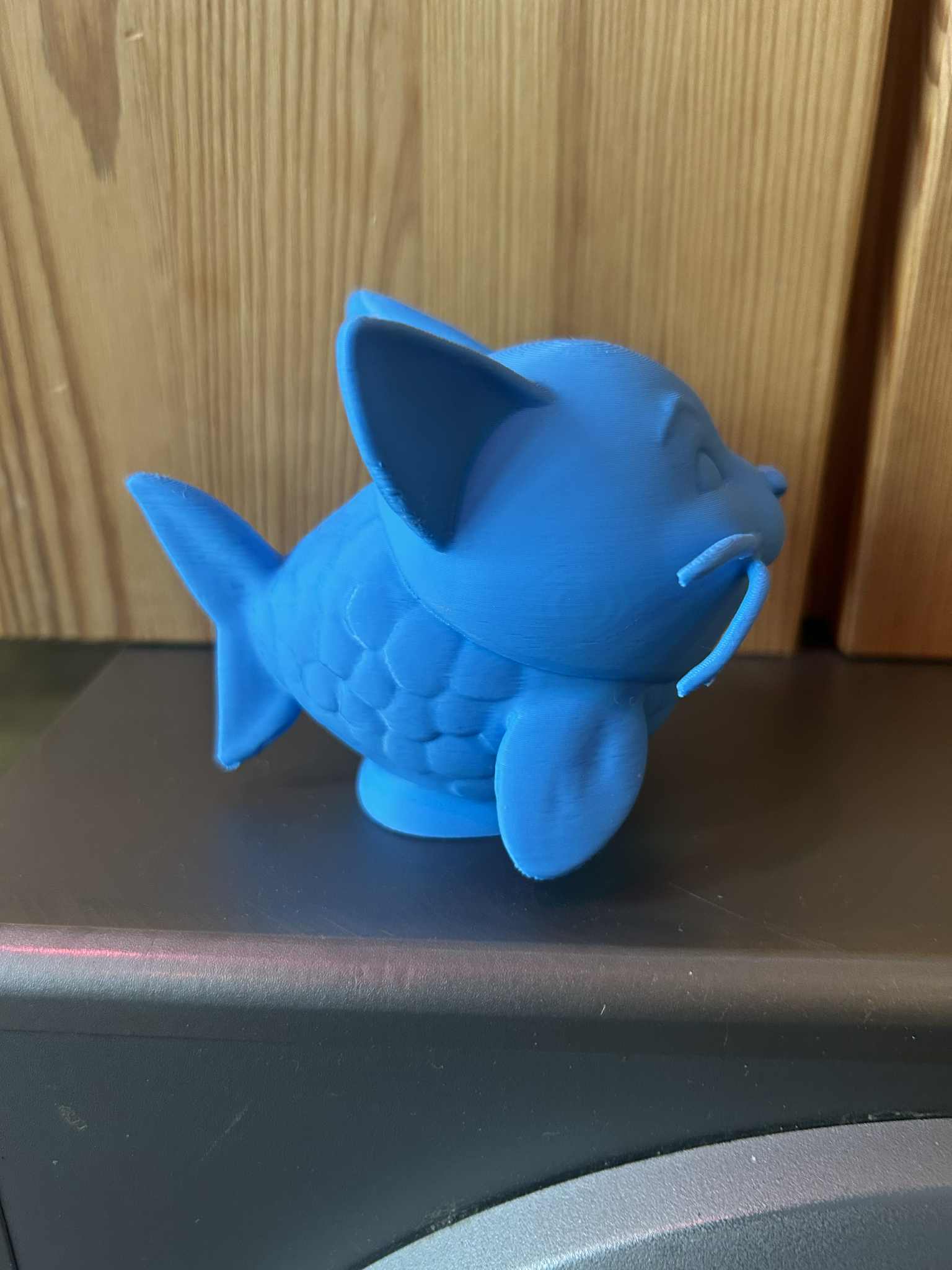 The Catfish
