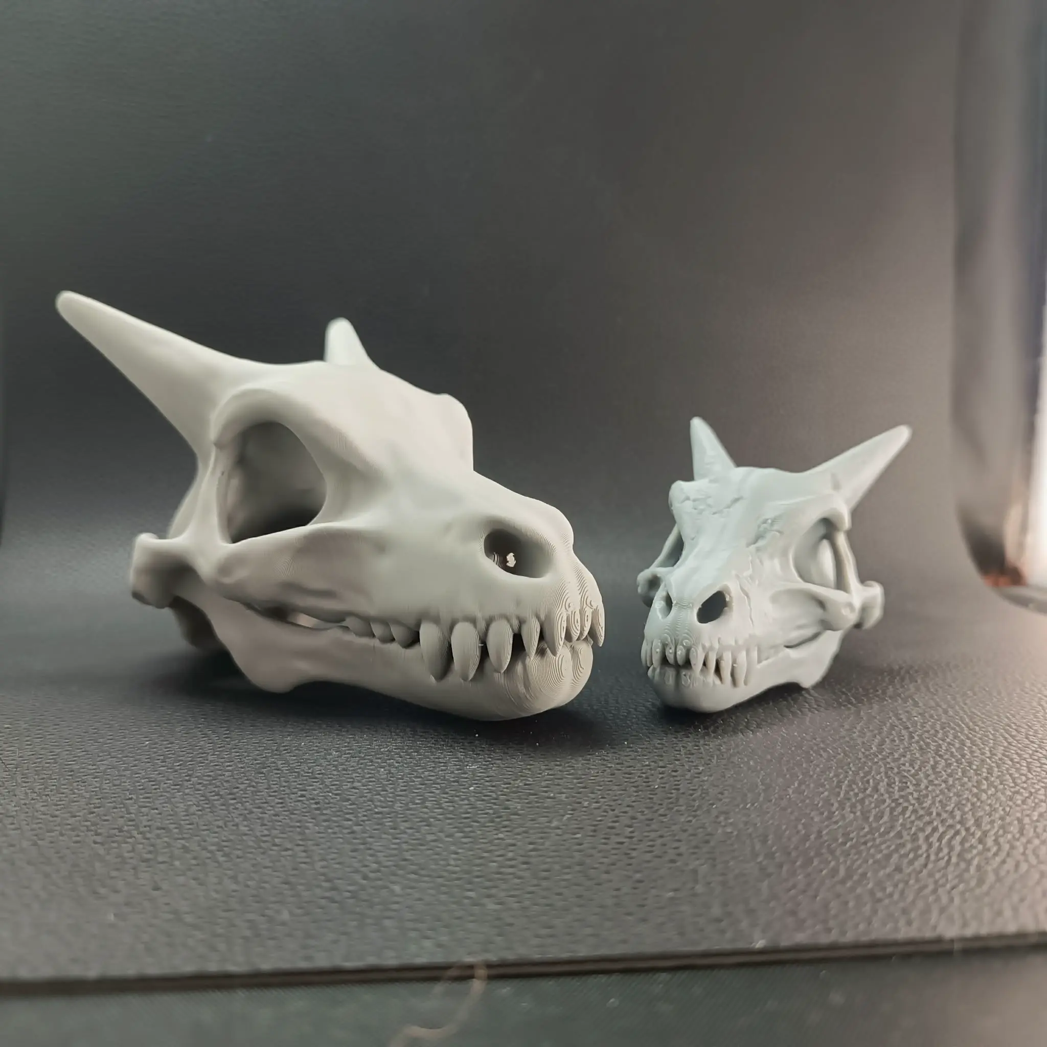 Pokemon Charizard Fossil Skull – Ancient Dragon