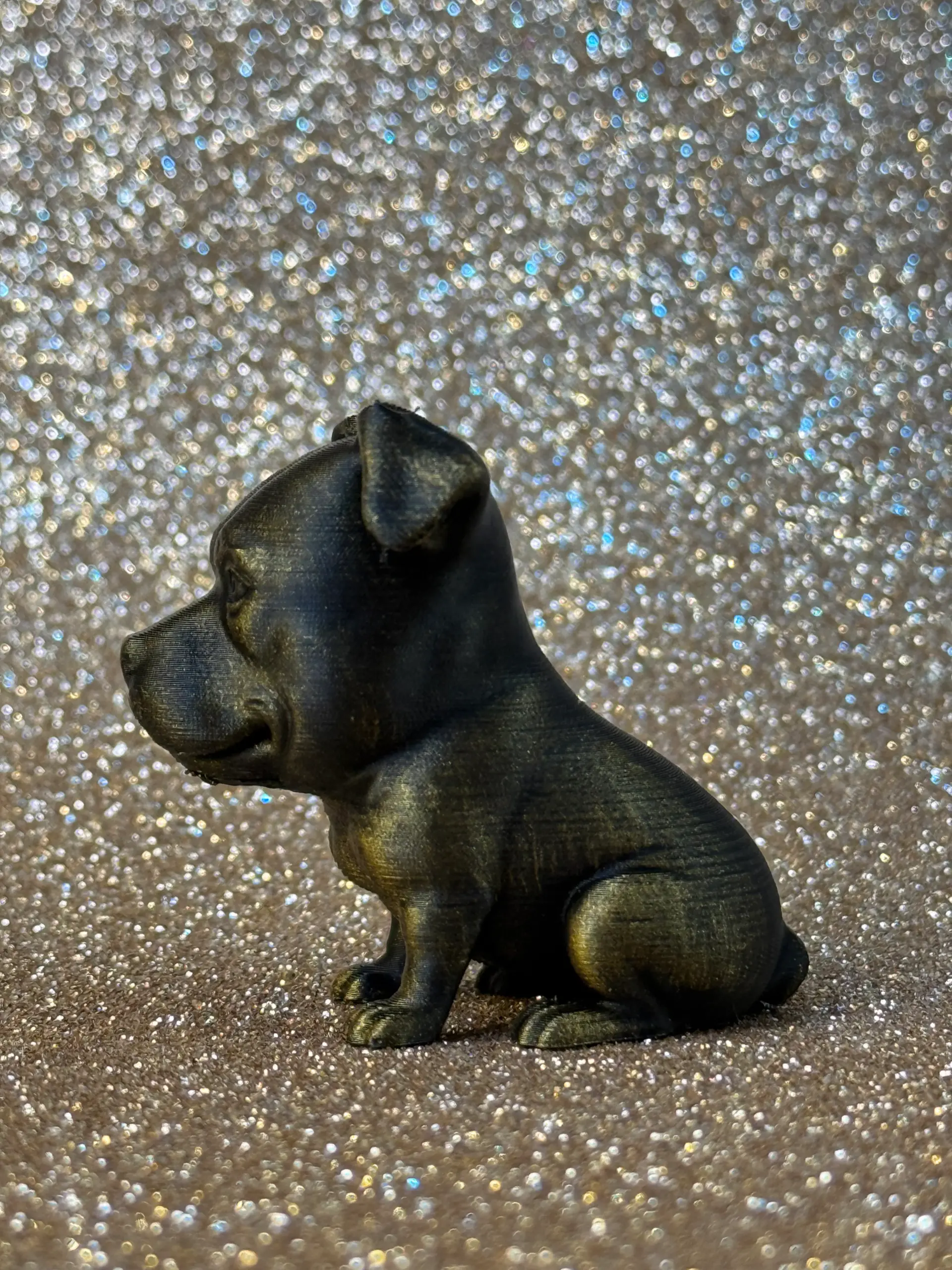 Cute Pittbull
