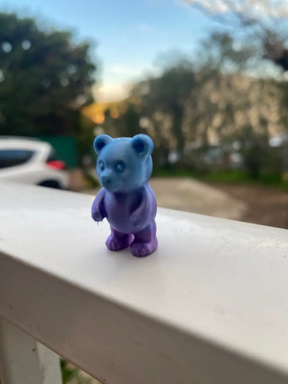 bear mini