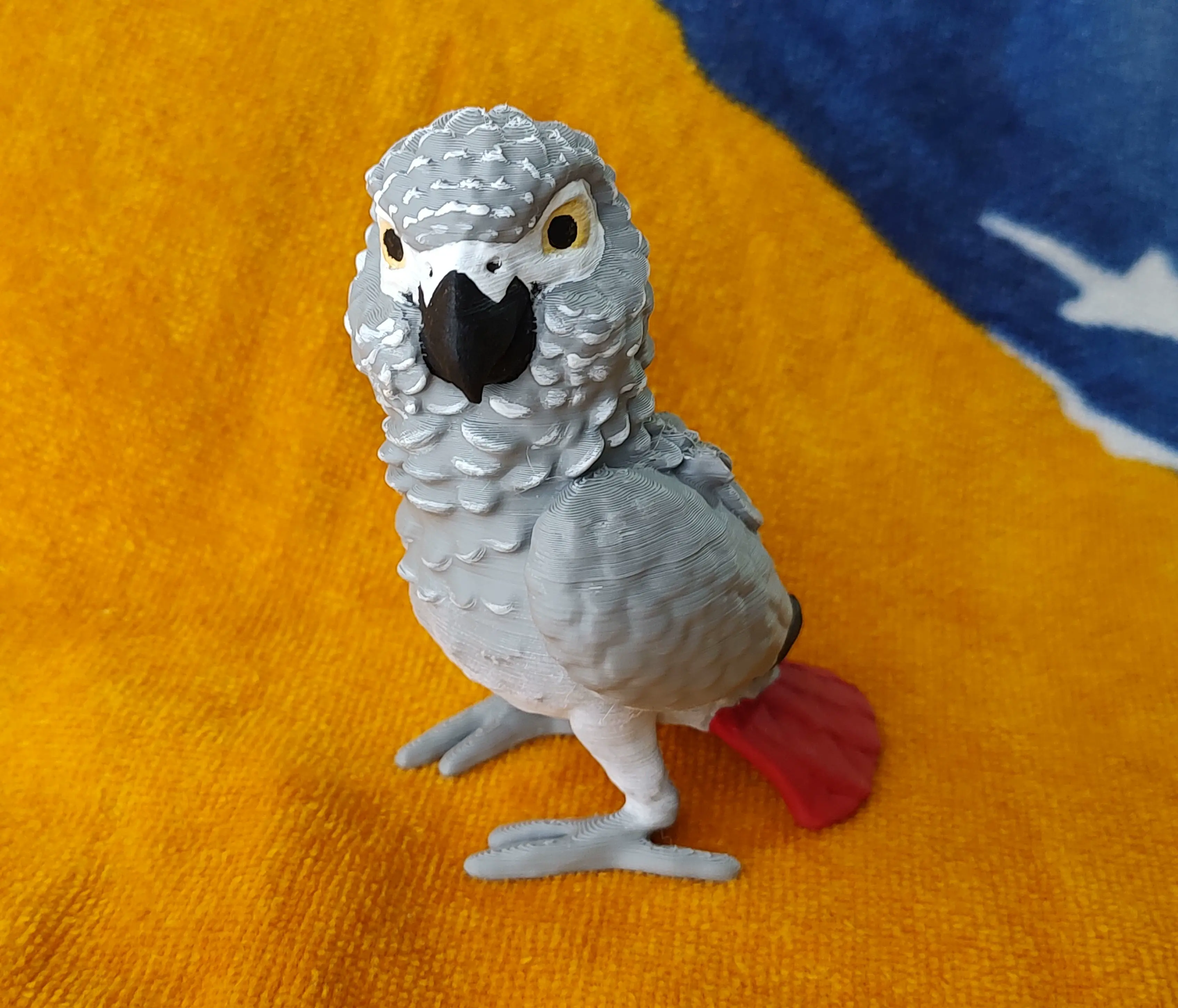 African Grey Parrot