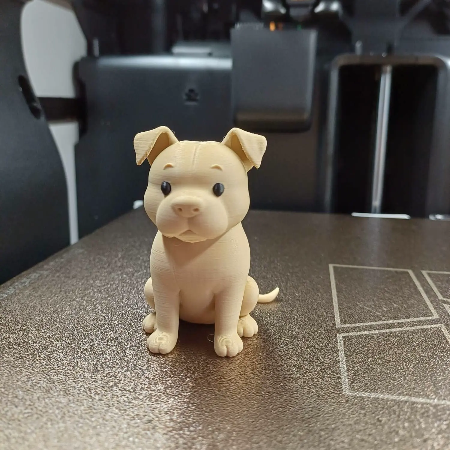 Cute Pitbull Puppy