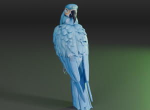 blue macaw