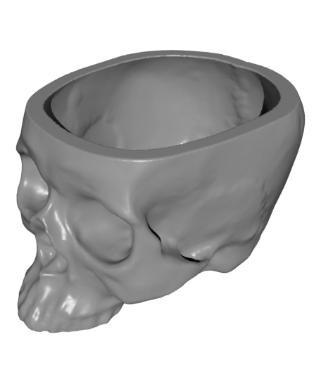 Skull Planter, 3D Human Skull Flower Pot, Spooky Decor Planter, 3D Printed Skull, Face Planter